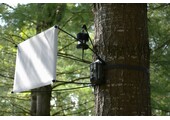 EntoCam autonomous Camera Trap for Insects
