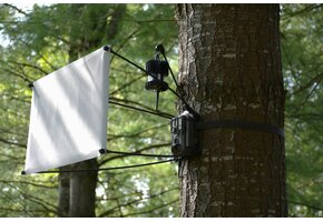 EntoCam autonome Kamerafalle für Insekten