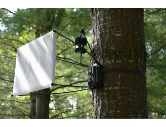 EntoCam autonome Cameraval voor Insecten