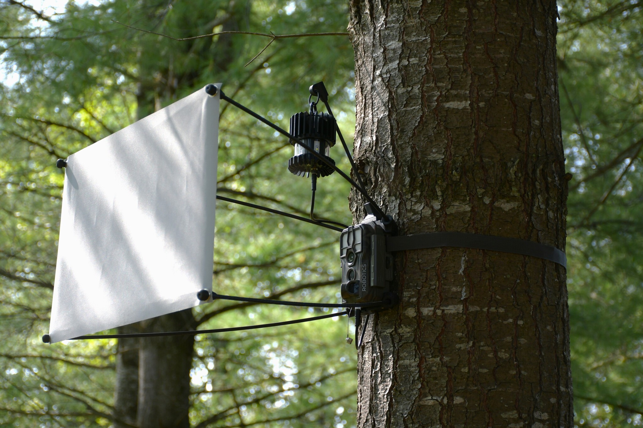 EntoCam autonomous Camera Trap for Insects & EntoBeam