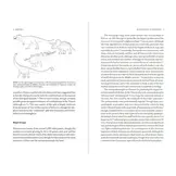 Wildlife on the Planet Furaha - A Speculative Biology Guide to Alien Life Forms