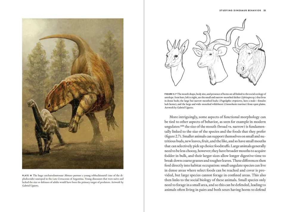 Wildlife on the Planet Furaha - A Speculative Biology Guide to Alien Life Forms