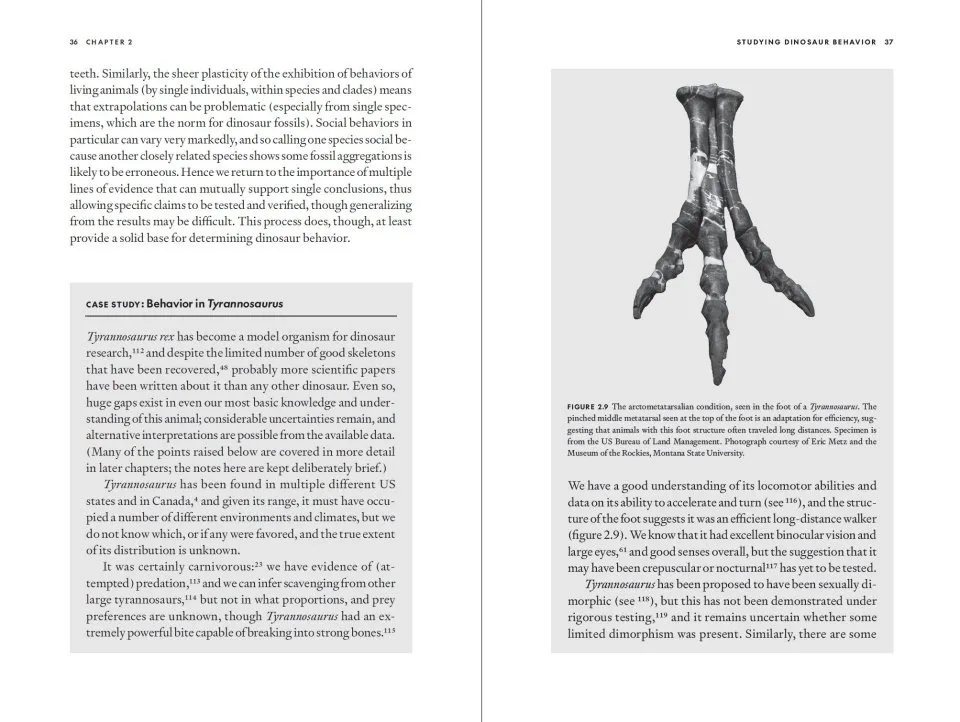 Wildlife on the Planet Furaha - A Speculative Biology Guide to Alien Life Forms