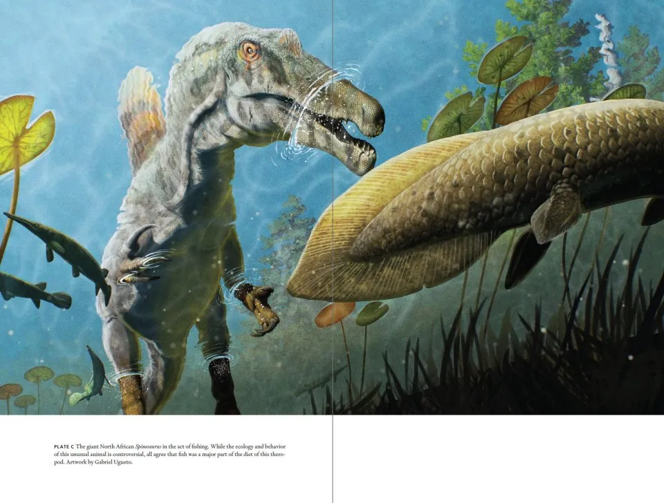 Wildlife on the Planet Furaha - A Speculative Biology Guide to Alien Life Forms