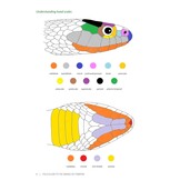 Field Guide to the Snakes of Eswatini