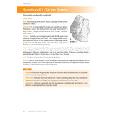 Field Guide to the Snakes of Eswatini