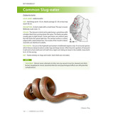 Field Guide to the Snakes of Eswatini