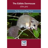 The Edible Dormouse (Glis glis)