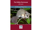 The Edible Dormouse (Glis glis)