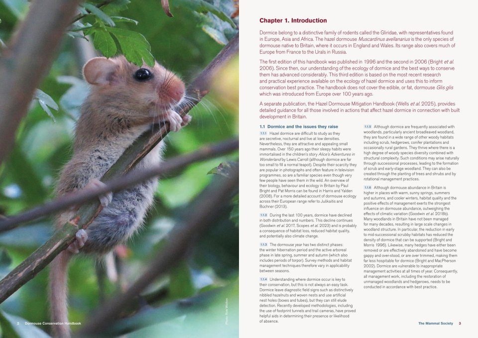 Hazel Dormouse Conservation Handbook - Third edition