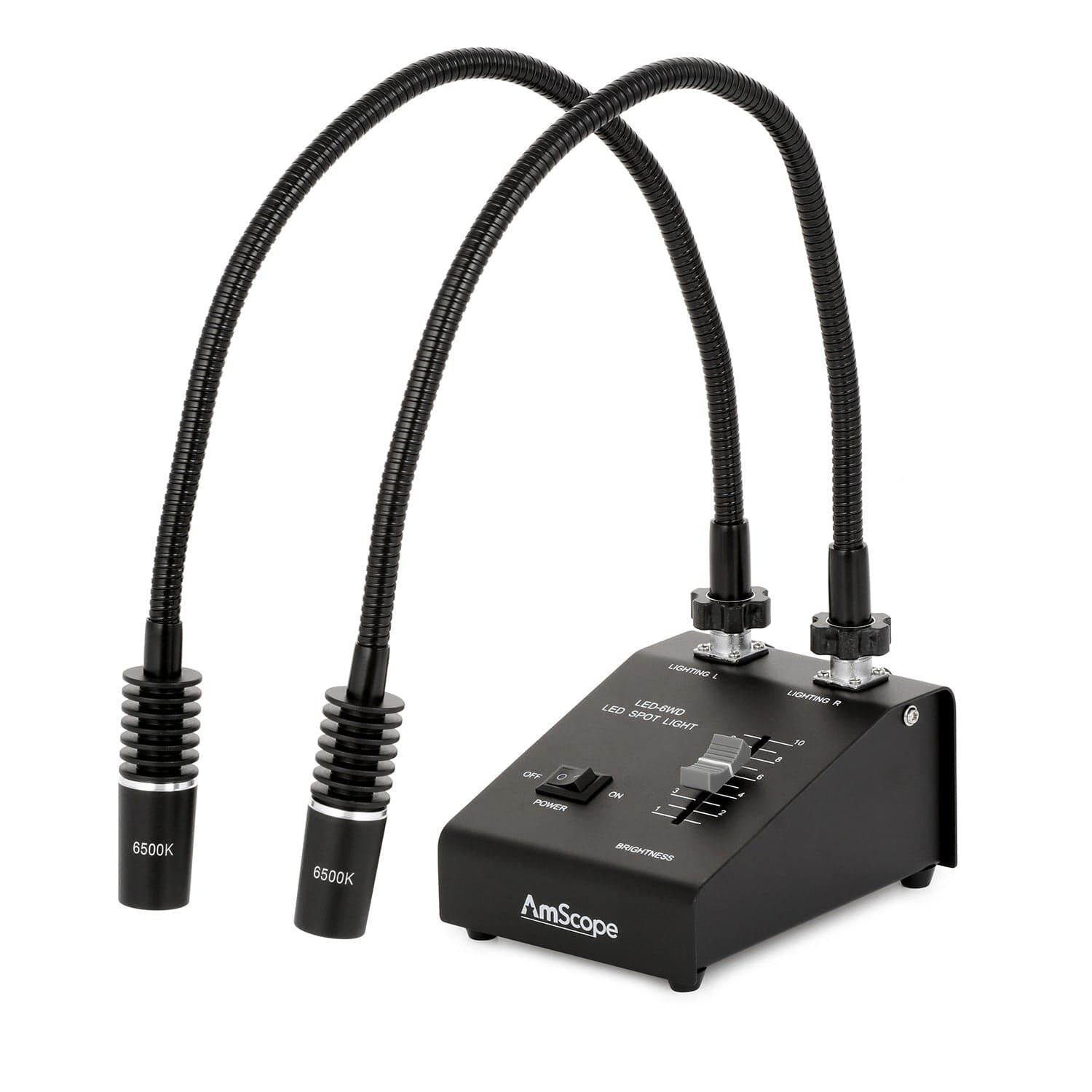 AmScope 6W LED-Doppelschwanenhals Beleuchtung