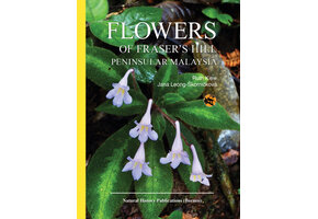Flowers of Fraser’s Hill, Peninsular Malaysia