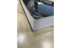 Damaged copy - Bats of Britain and Europe