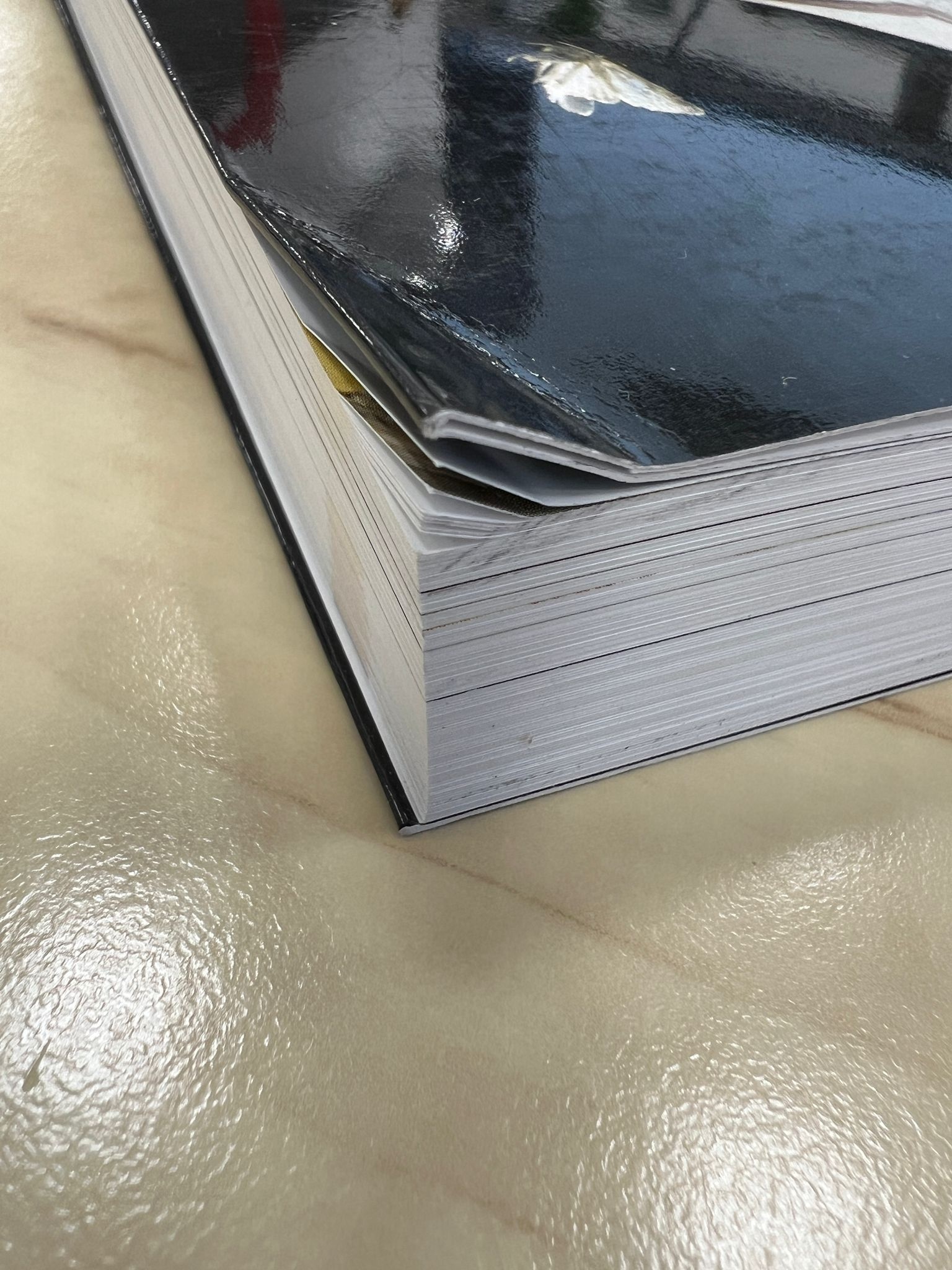 Beschädigte Kopie - Bats of Britain and Europe