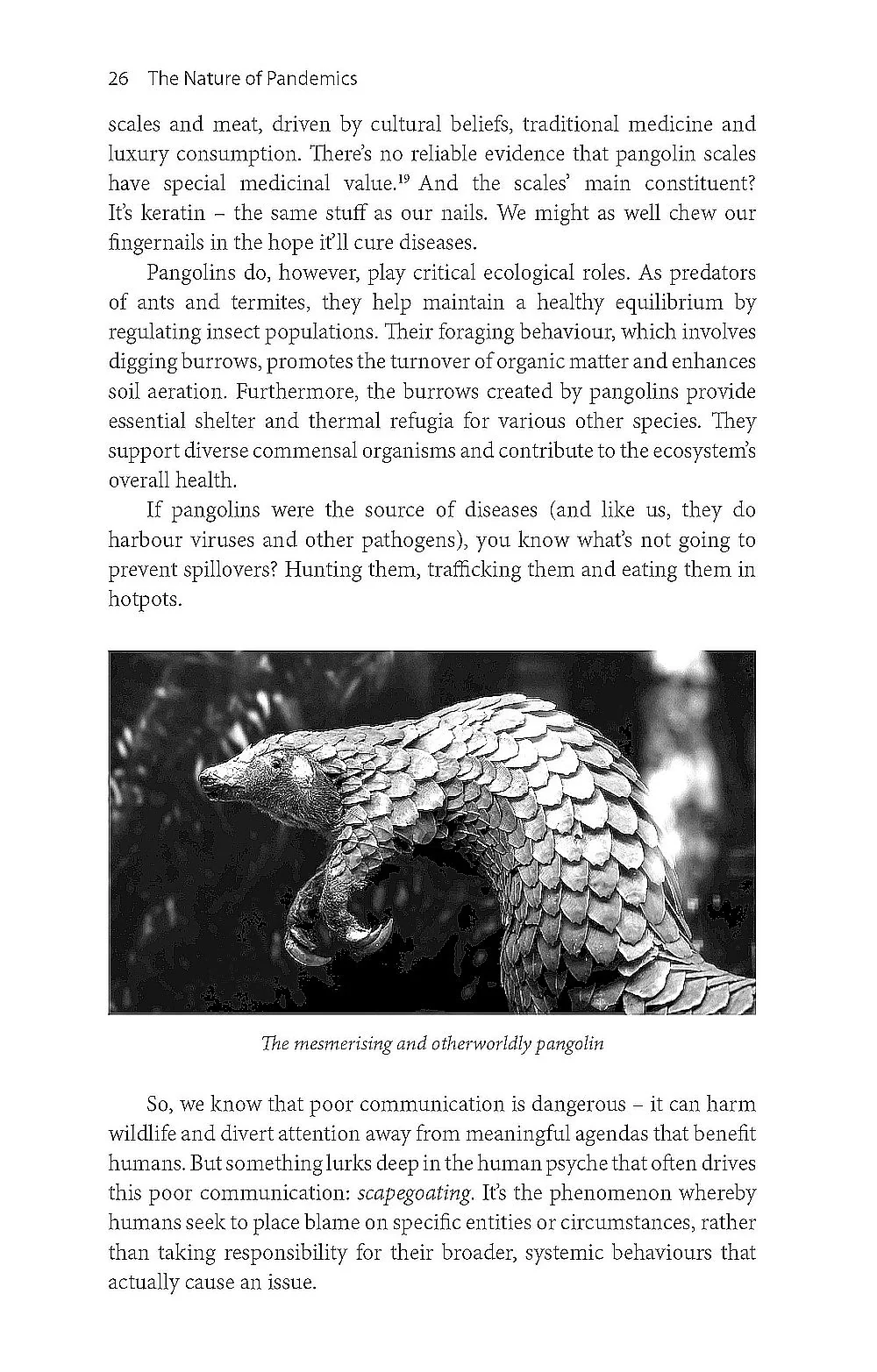 The Nature of Pandemics - Why Protecting Biodiversity is Key to Human Survival