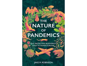 The Nature of Pandemics