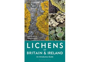 Lichens of Britain and Ireland
