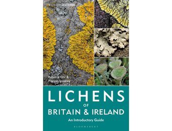 Lichens of Britain and Ireland