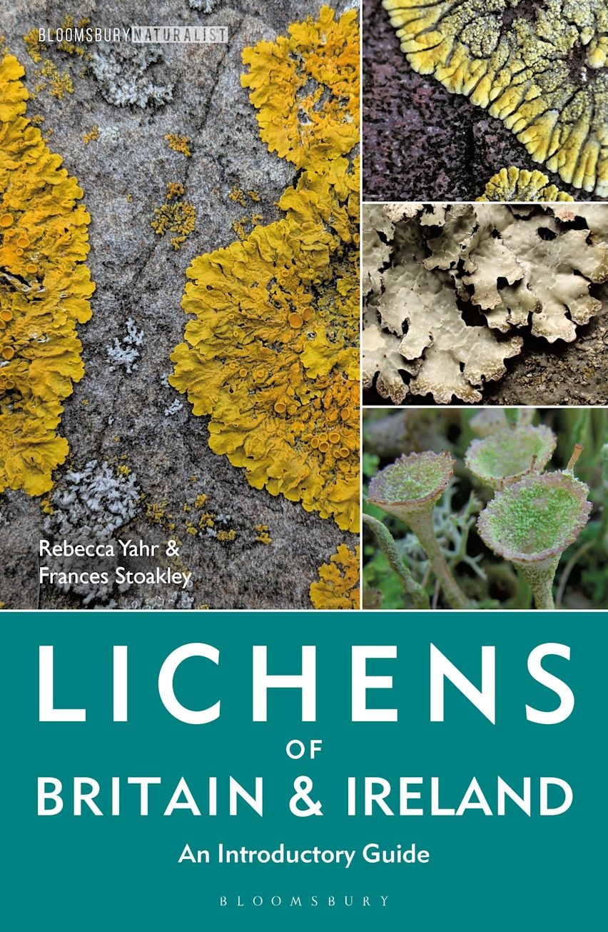Lichens of Britain and Ireland - An Introductory Guide