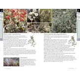 Lichens of Britain and Ireland - An Introductory Guide