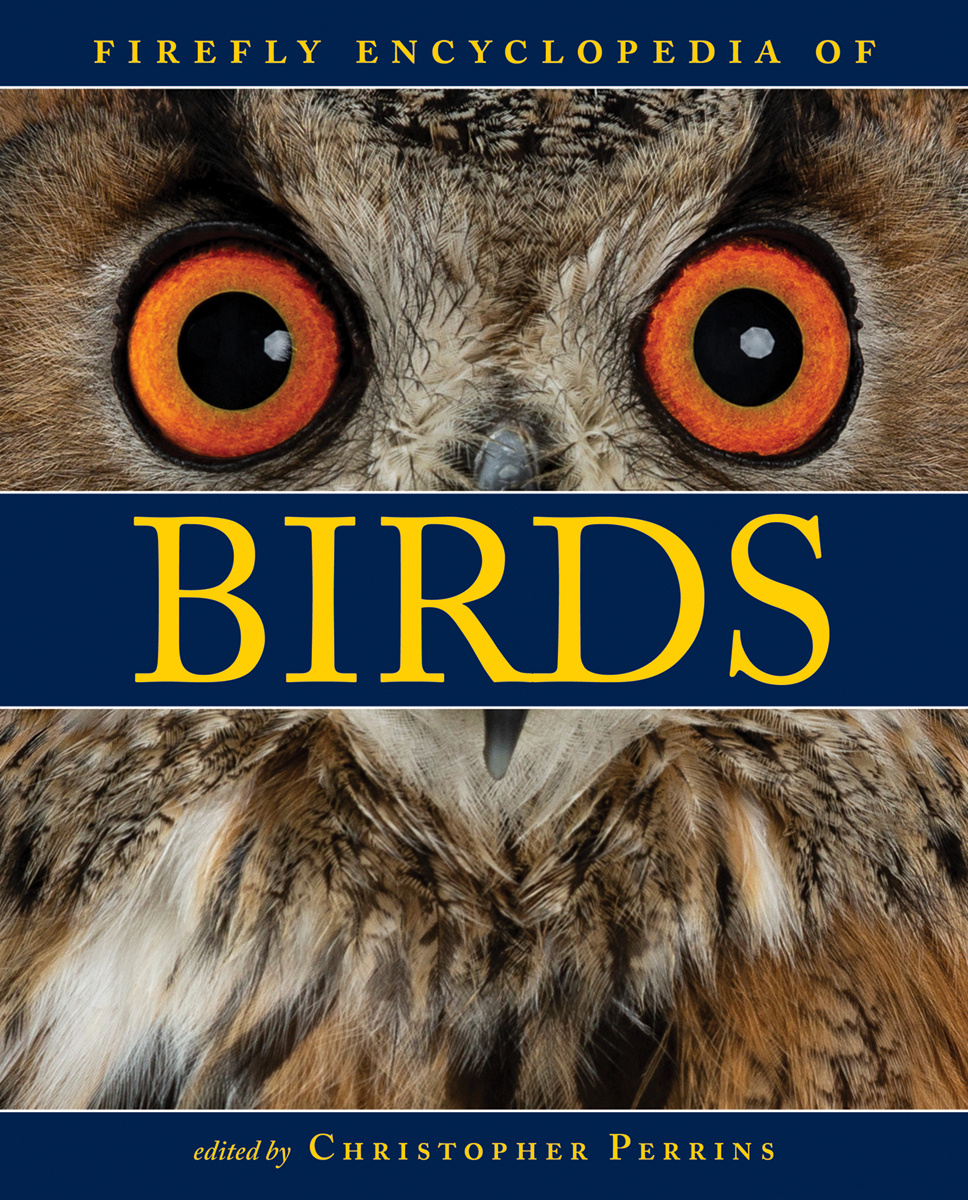 Firefly Encyclopedia of Birds