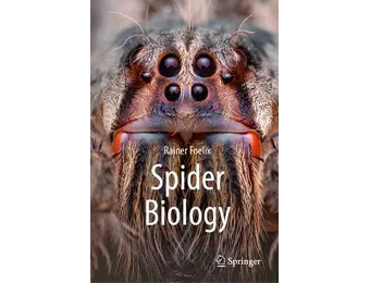 Spider Biology