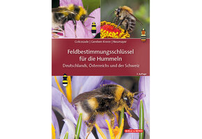 Feldbestimmungsschlüssel für die Hummeln Deutschlands, Österreichs und der Schweiz