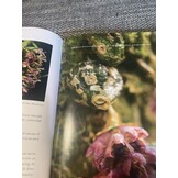 Damaged copy - A Compendium of Miniature Orchid Species (4-Volume Set)