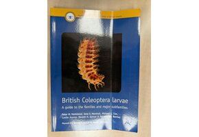 Damaged copy - British Coleoptera Larvae