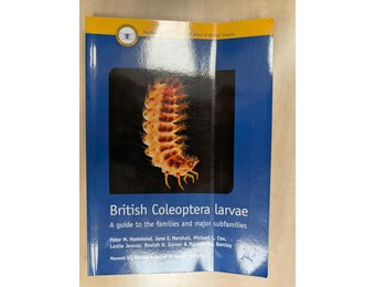 Beschadigd exemplaar - British Coleoptera Larvae