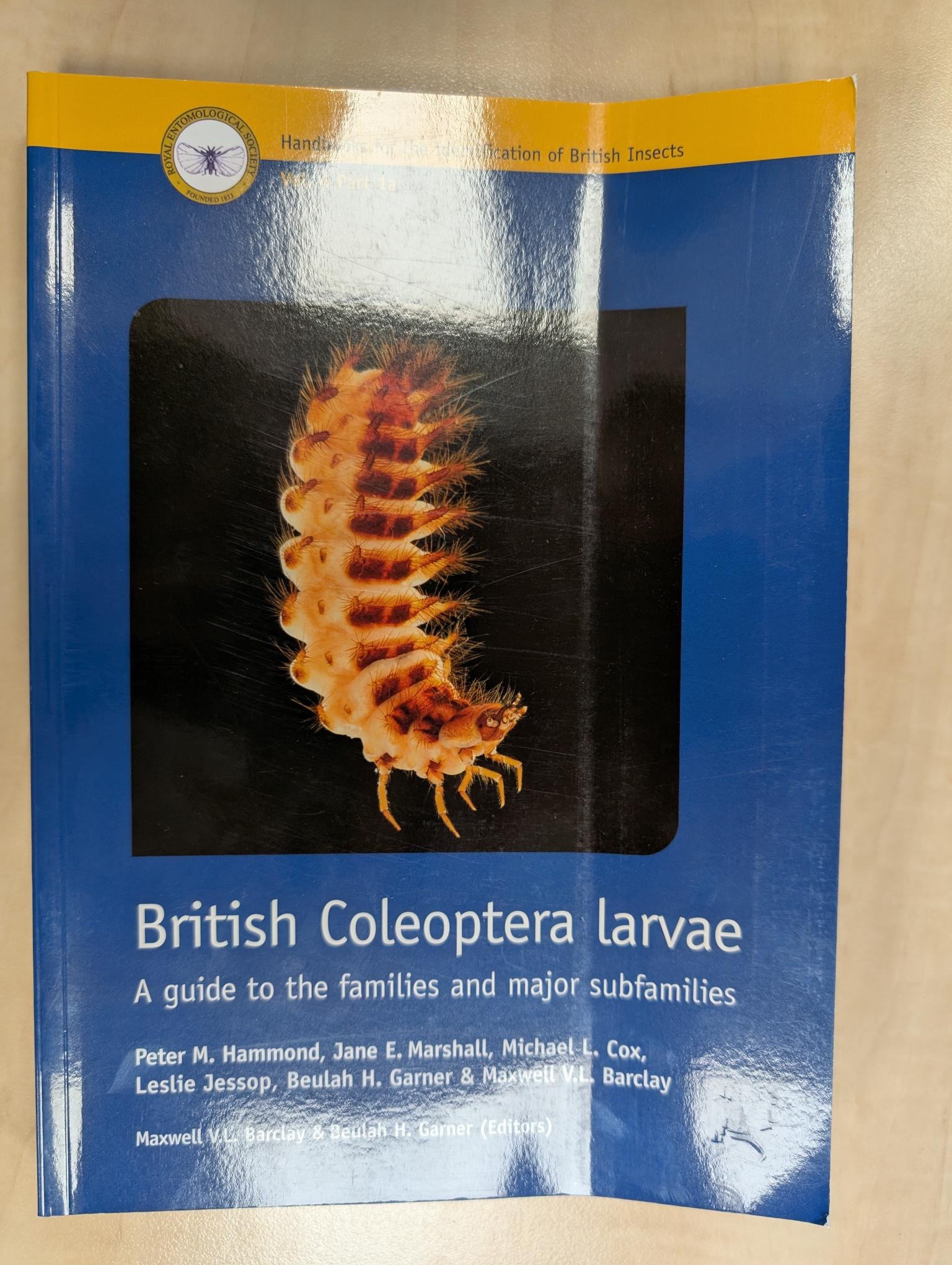 Beschadigd exemplaar - British Coleoptera Larvae