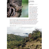 Habitats of Europe - A Field Guide for Birders, Naturalists, and Ecologists