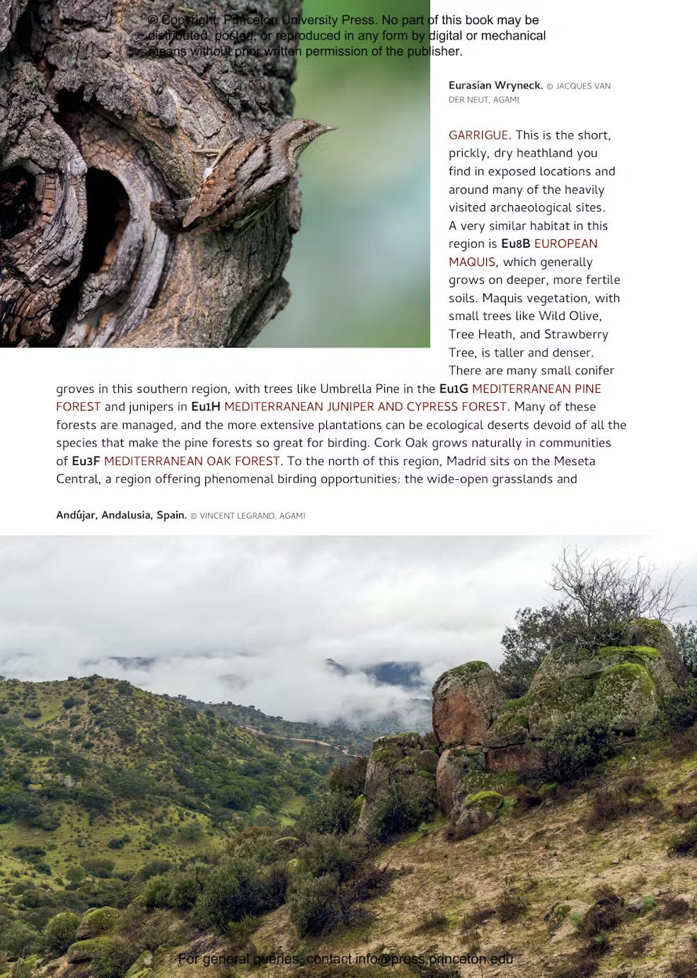 Habitats of Europe - A Field Guide for Birders, Naturalists, and Ecologists