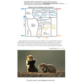 Habitats of Europe - A Field Guide for Birders, Naturalists, and Ecologists