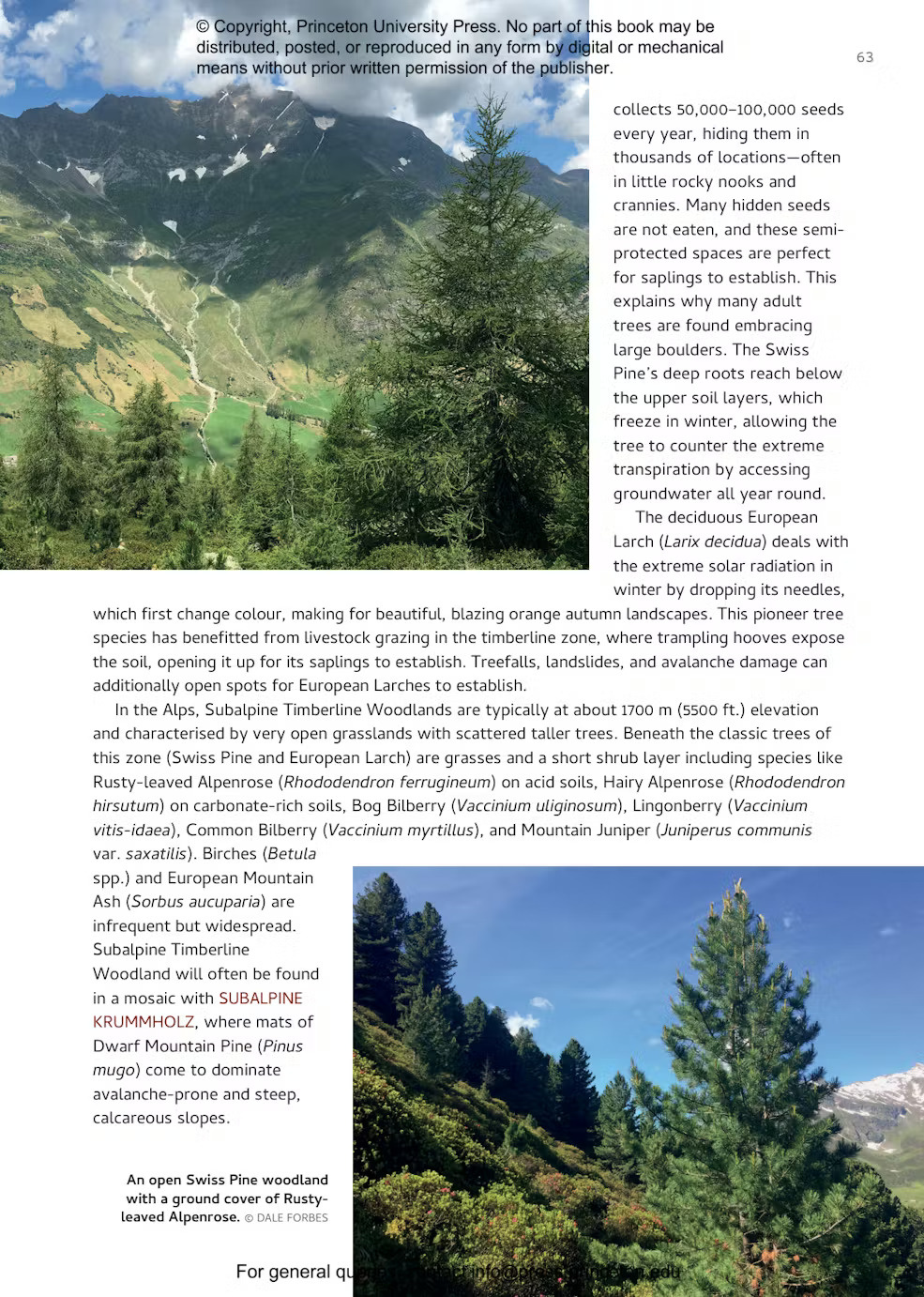 Habitats of Europe - A Field Guide for Birders, Naturalists, and Ecologists