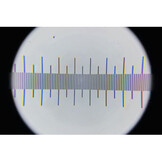 DIPLE Mikrometer-Lineal