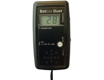 Batbox Duet Bat Detector