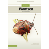 Veldgids Wantsen - Pentatomomorpha