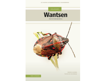 Veldgids Wantsen