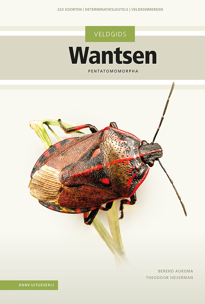 Veldgids Wantsen - Pentatomomorpha