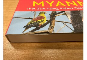 Beschädigte Kopie - A Naturalist’s Guide to the Birds of Myanmar