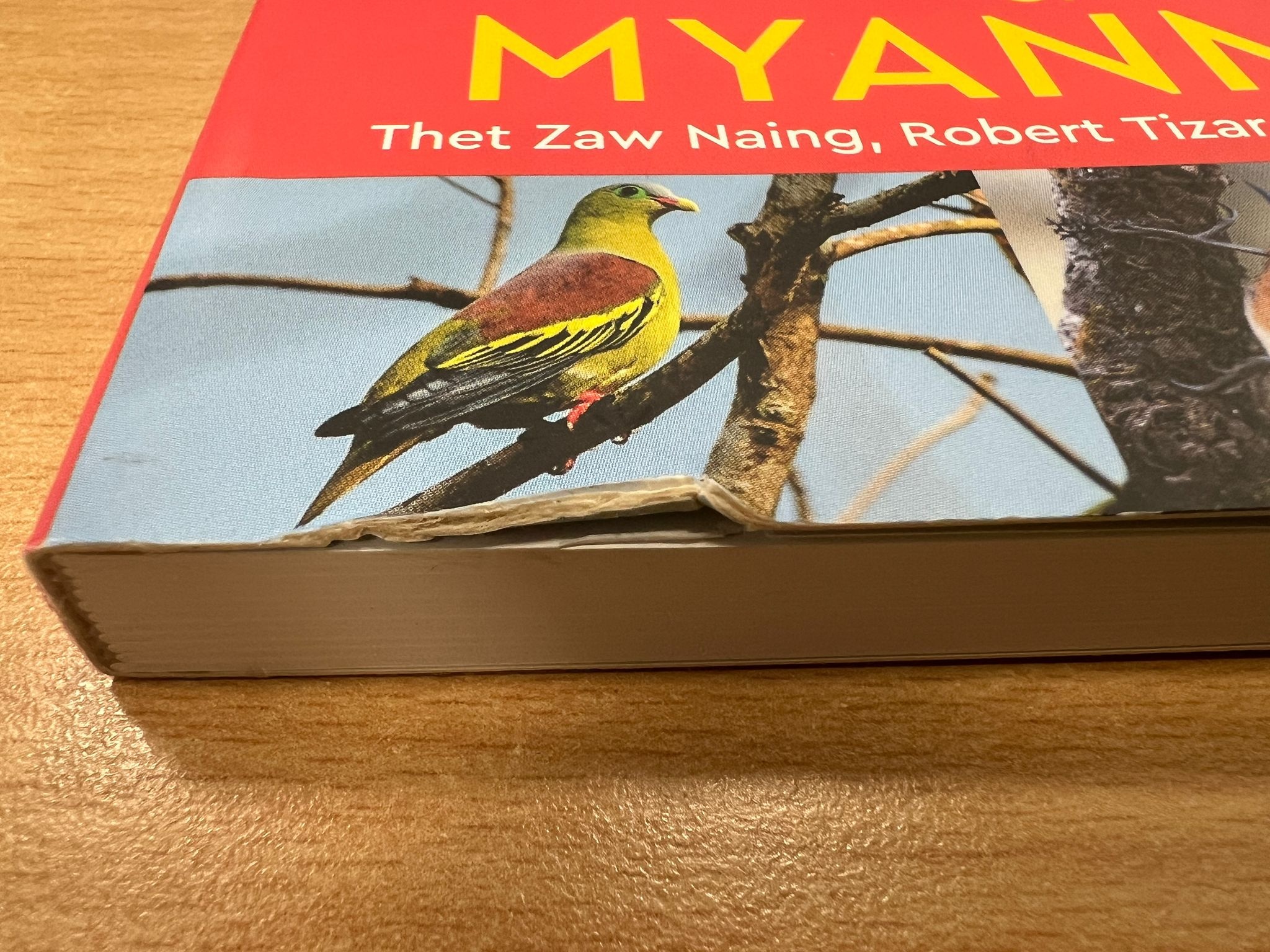 Beschädigte Kopie - A Naturalist’s Guide to the Birds of Myanmar