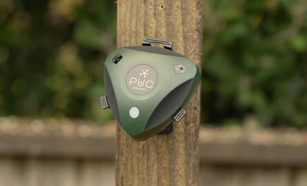 10 Frequently Asked Questions about the BirdWeather PUC!