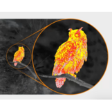 Pulsar Thermal Imaging Scope Orni XG35