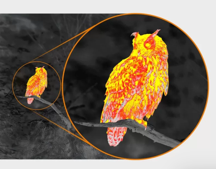 Pulsar Orni XG35 Warmtebeeldcamera