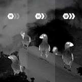 Pulsar Thermal Imaging Scope Alaris XG30