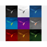 Pulsar Alaris XG30 Wärmebildkamera