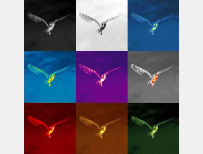 Pulsar Alaris XG30 Warmtebeeldcamera