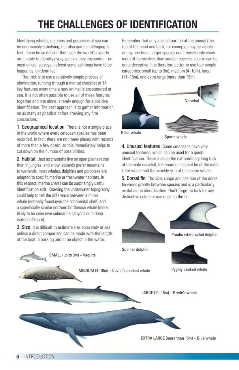 Field Guide to Whales, Dolphins and Porpoises of North America
