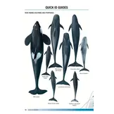 Field Guide to Whales, Dolphins and Porpoises of North America